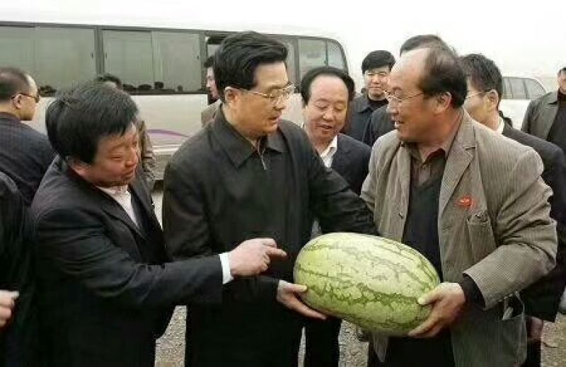 硒砂瓜