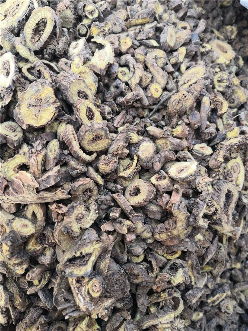黄芩