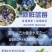 现采新鲜蓝莓，可一件代发商超对接，预冷加工包装，