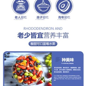 现采新鲜蓝莓，可一件代发商超对接，预冷加工包装，