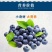 现采新鲜蓝莓，可一件代发商超对接，预冷加工包装，