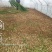 新鲜蝗虫，最少订量100斤起