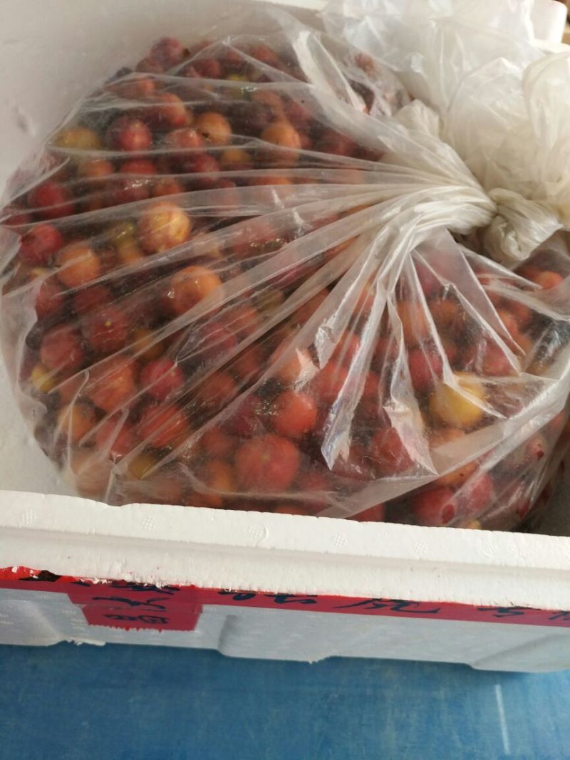 五指毛桃种子
