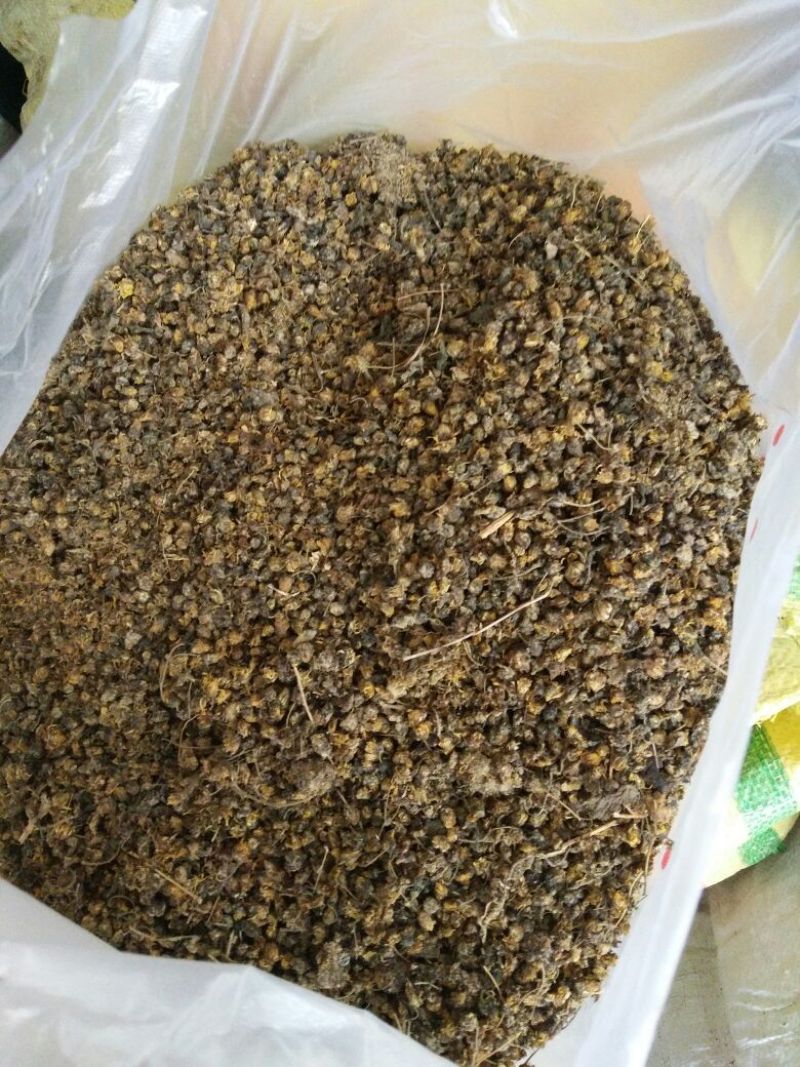 纯天然野菊花