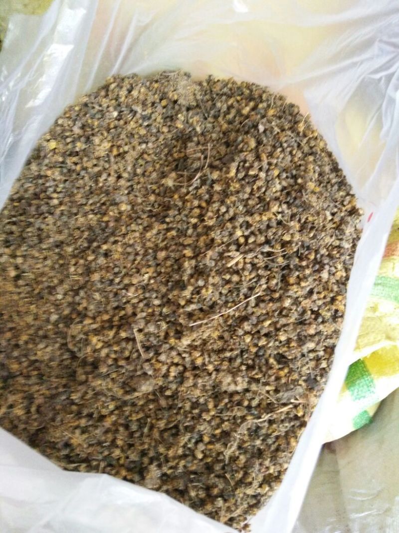纯天然野菊花