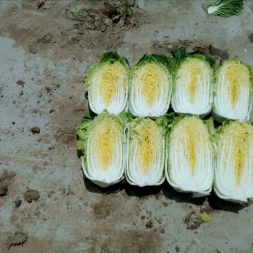 黄心菜
