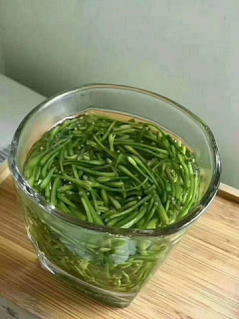 金银花茶