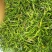 金银花茶