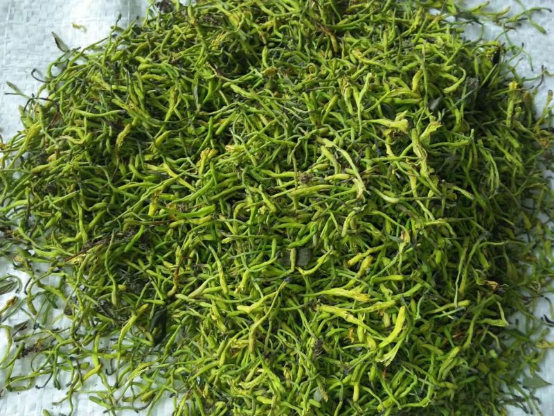 金银花茶