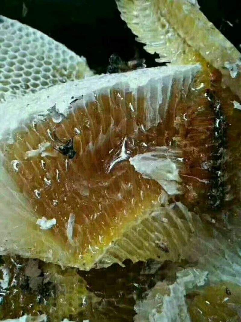 蜂蜜