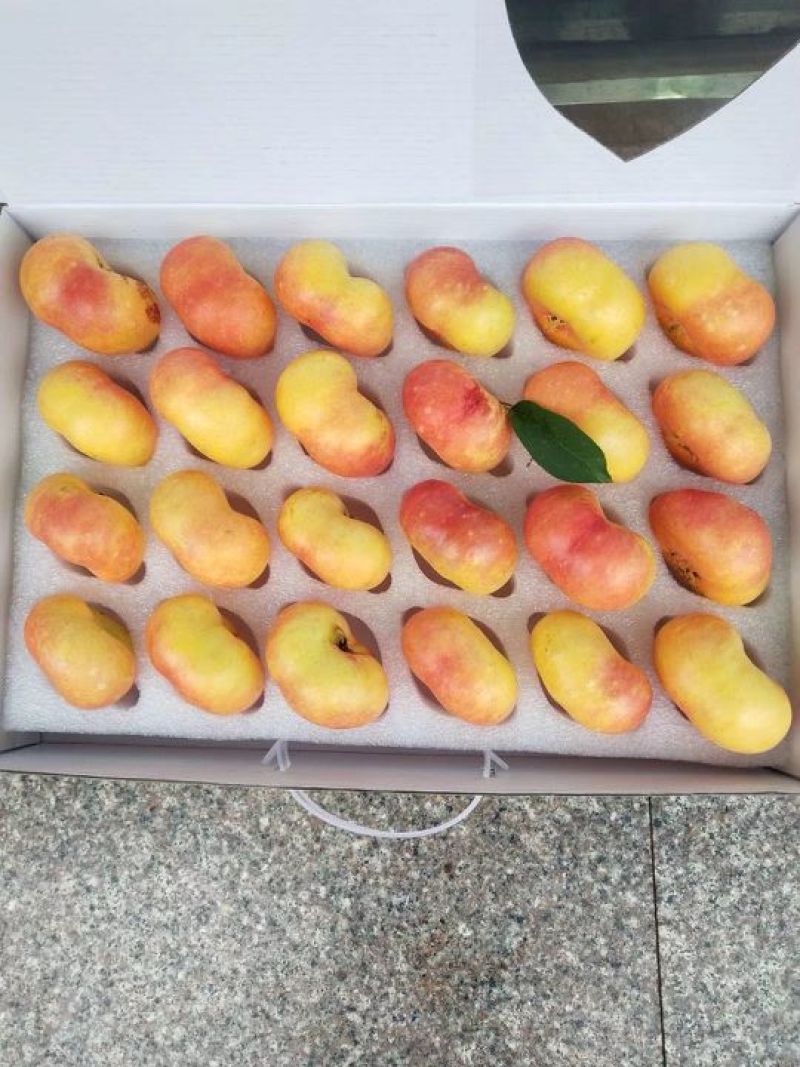 滇东明珠大油桃
