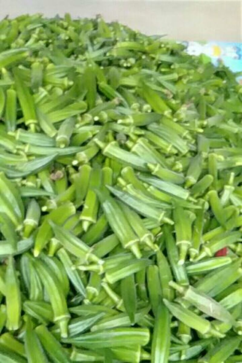 黄秋葵植物伟哥产地直供