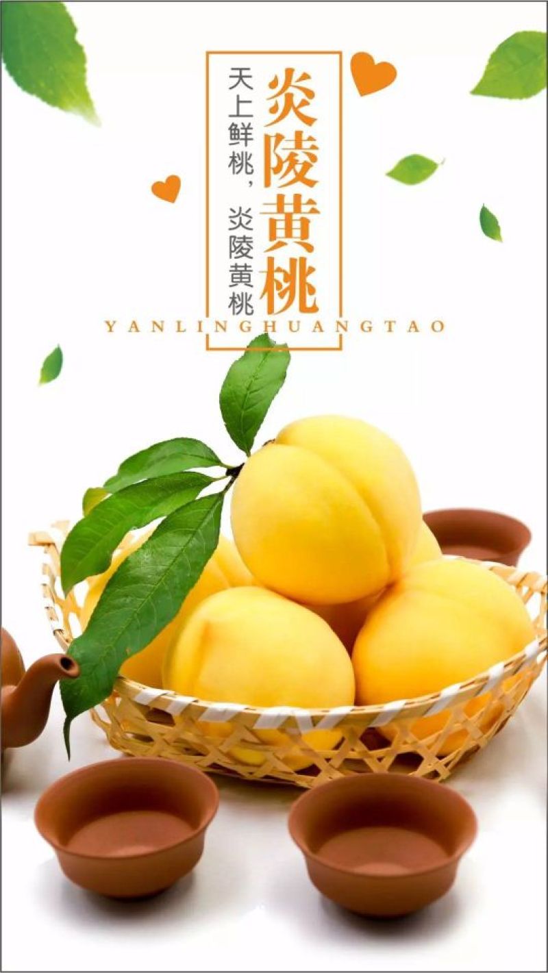 精品优质炎陵黄桃基地直供一手货源品质保证诚信经营欢迎来电