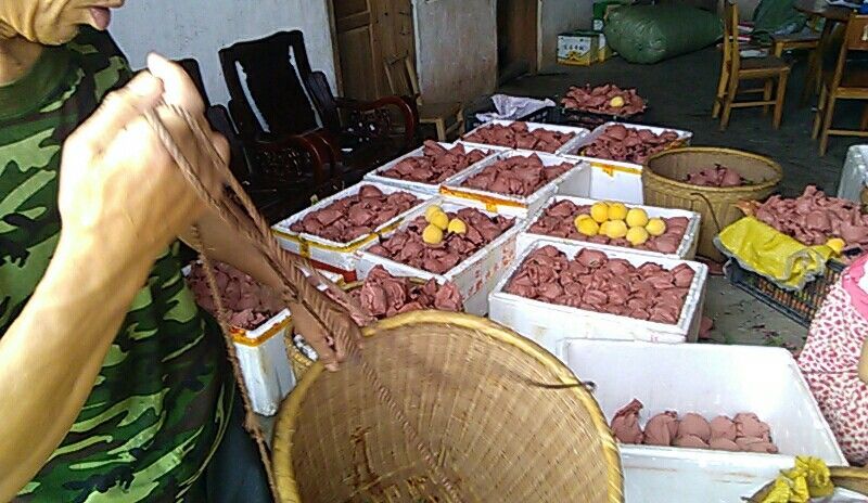 炎陵精品炎陵黄桃产地直发诚招电商代理批发欢迎实地考察来电
