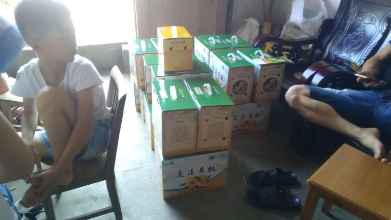 炎陵精品炎陵黄桃产地直发诚招电商代理批发欢迎实地考察来电