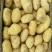 土豆
