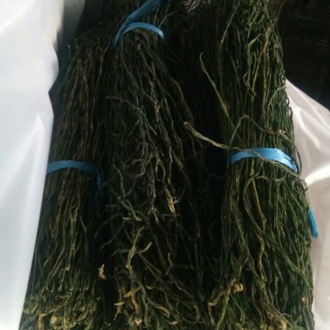 脱水豆角上市中，欢迎新老客户联系我！