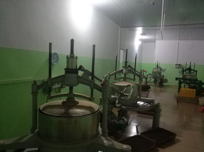 红茶英德红茶英红九号