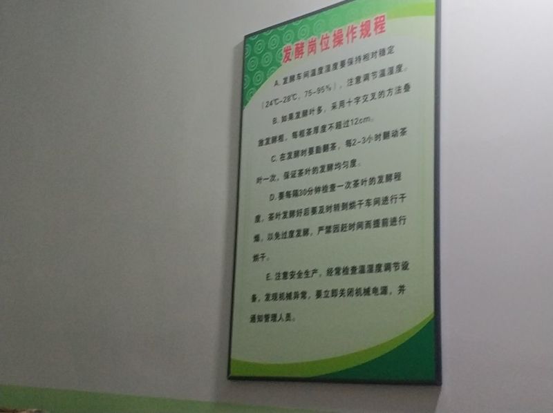 红茶英德红茶英红九号