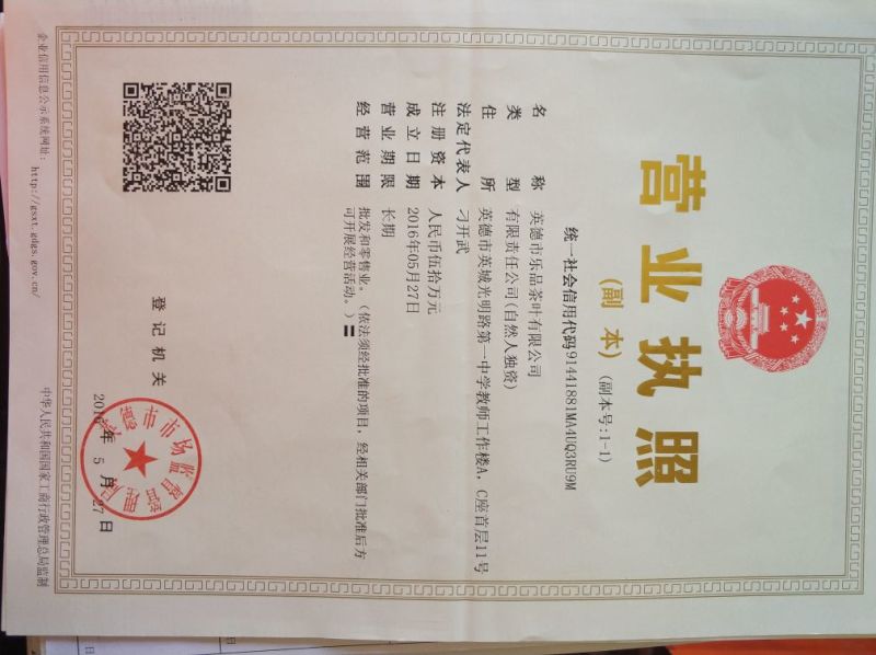 红茶英德红茶英红九号