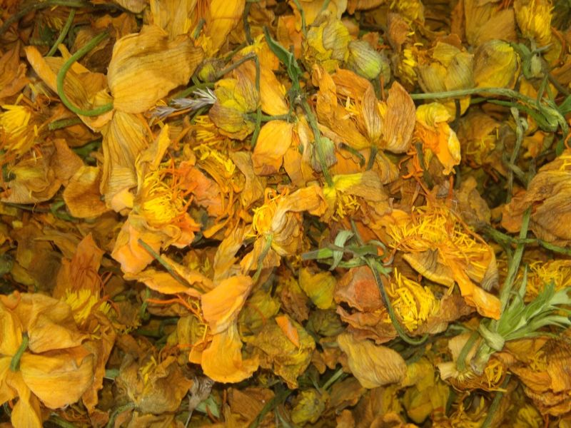金银花