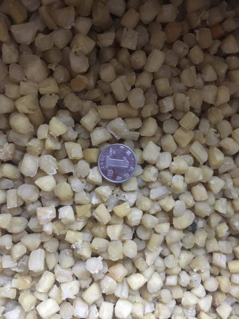800头淡干瑶柱