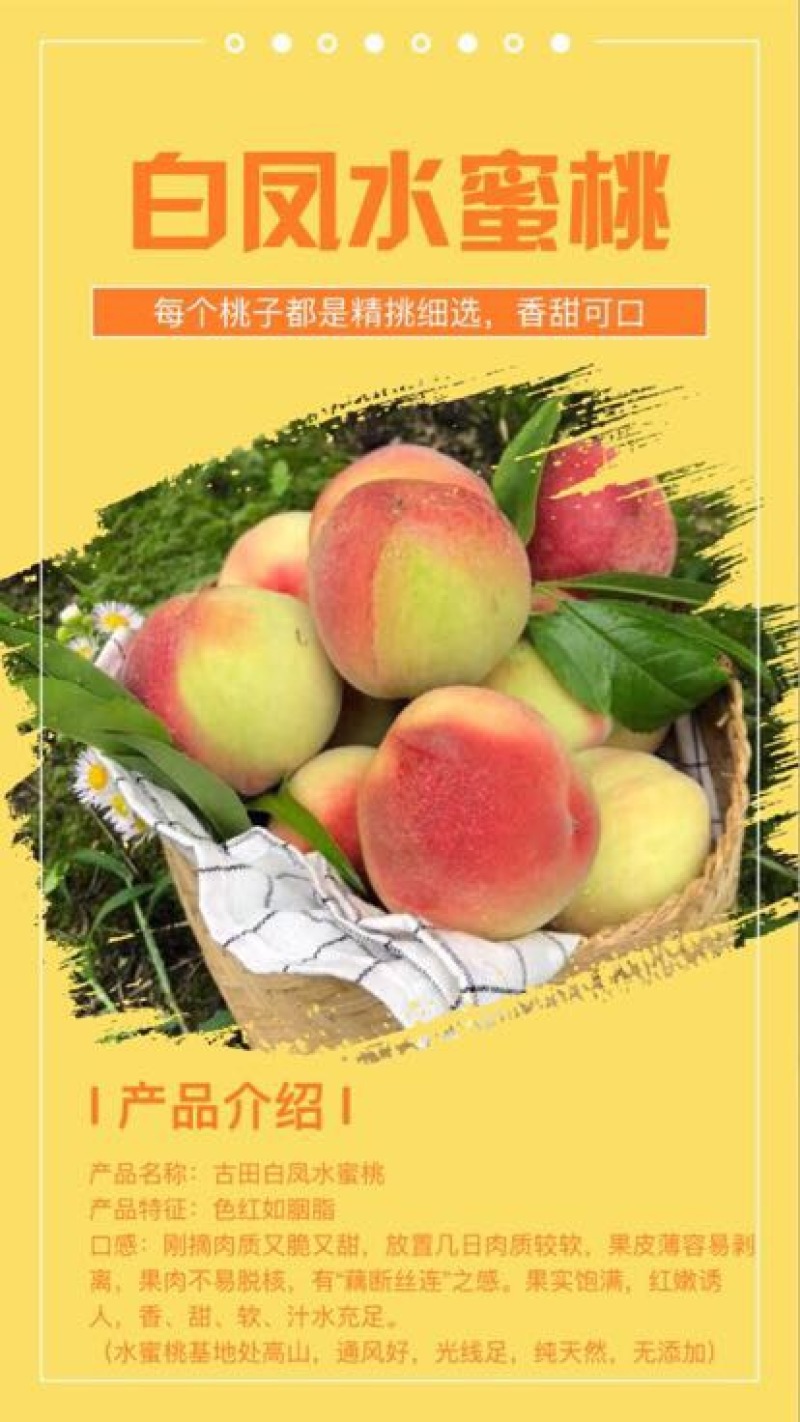 白凤桃60mm以上