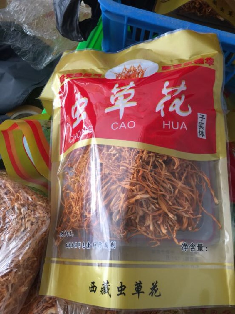 福建古田特产虫草花货源充足质量保证欢迎电话联系
