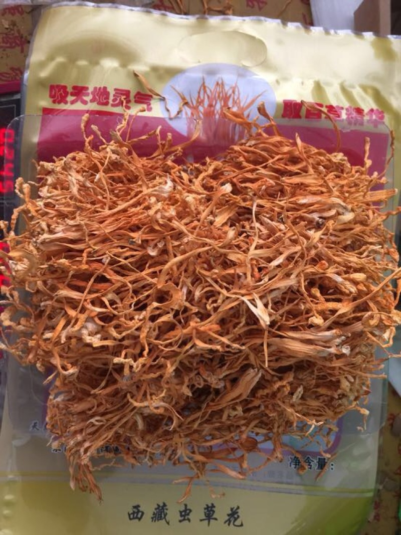 福建古田特产虫草花货源充足质量保证欢迎电话联系