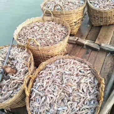 红虾干
