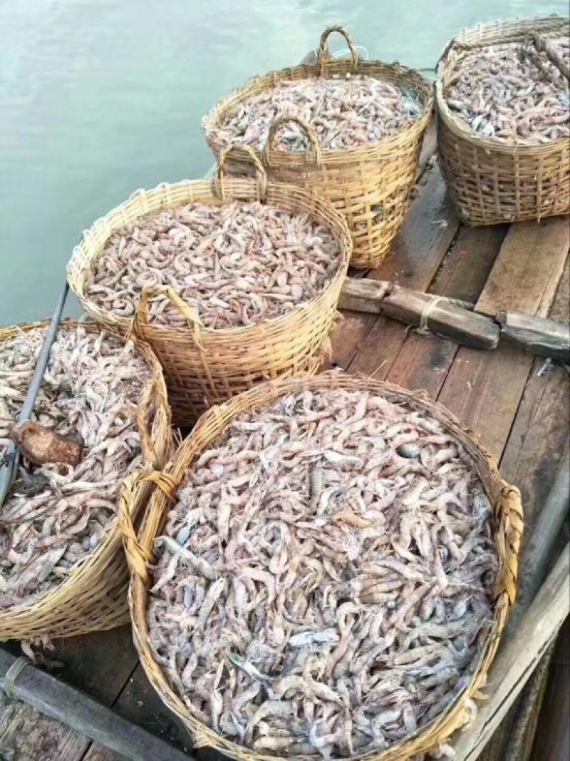 红虾干