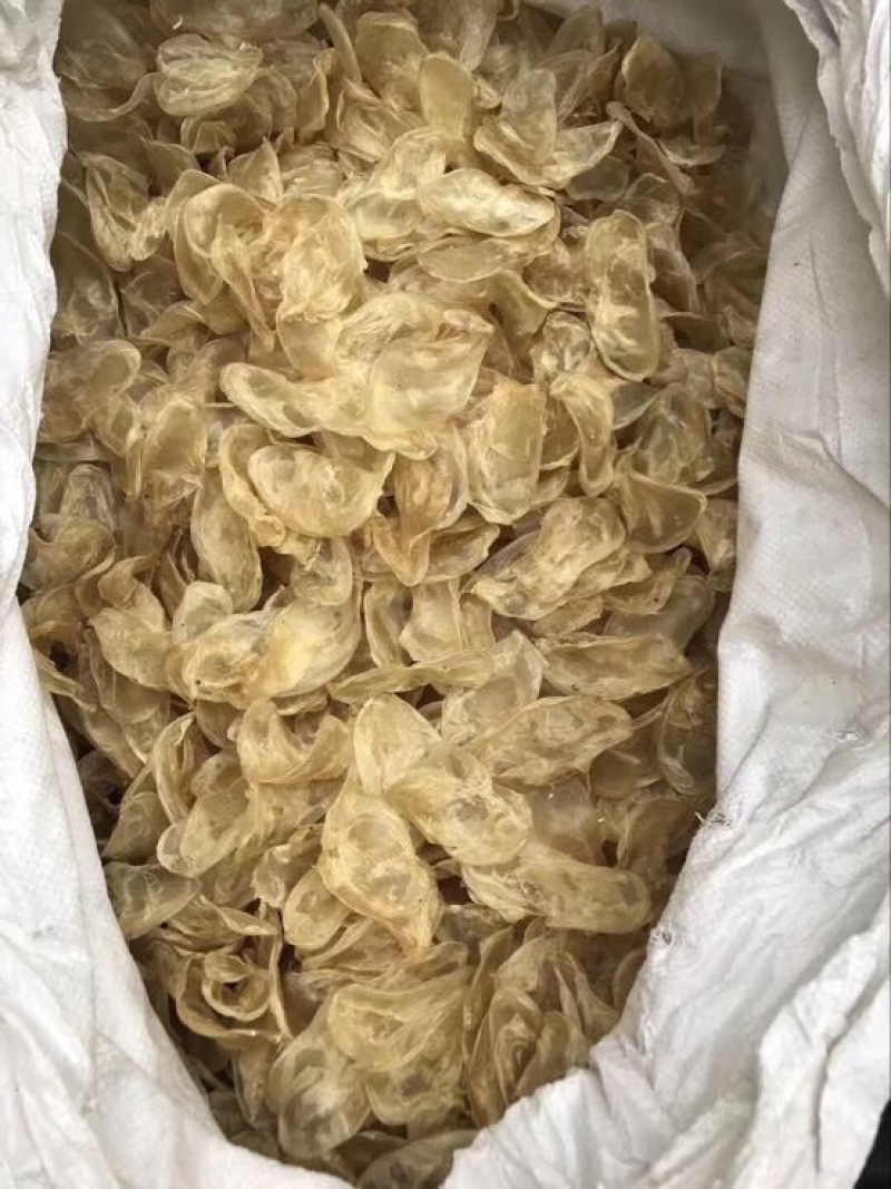 花胶小