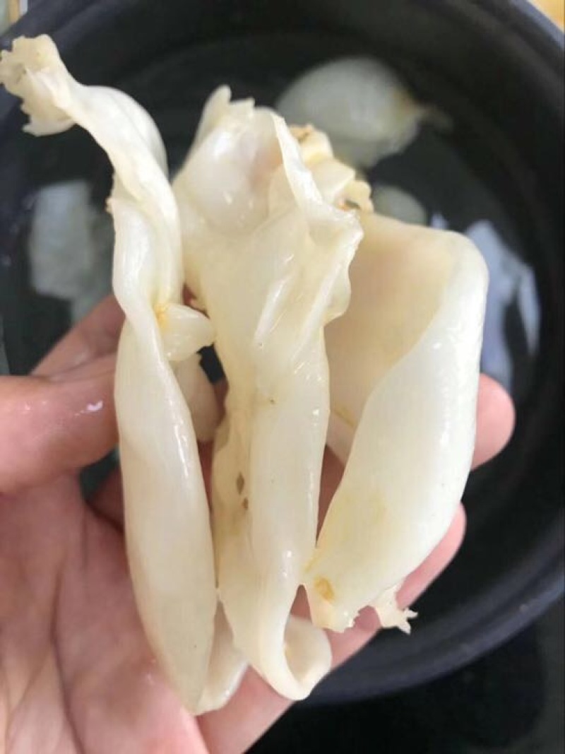 花胶小