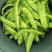 吉林九月青大油豆角，油豆角，大量上市，价格合理欢迎采购！