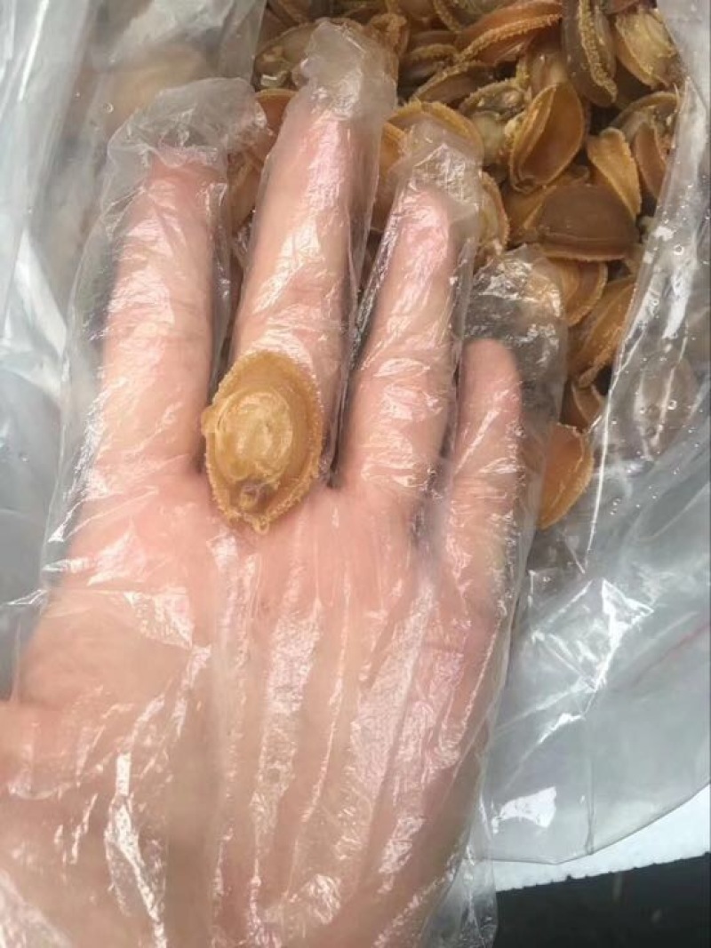 鲍鱼干日晒鱼干