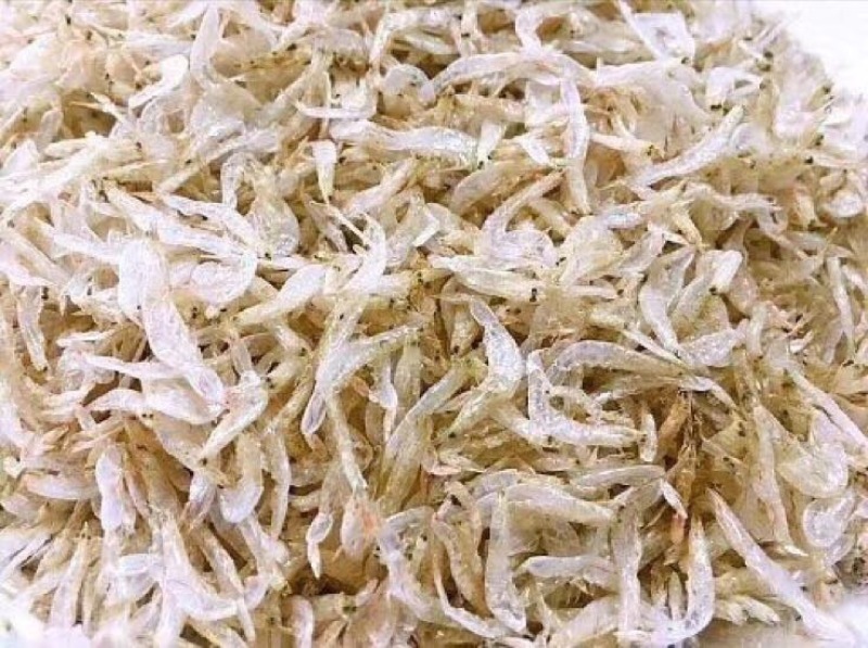 虾皮二级