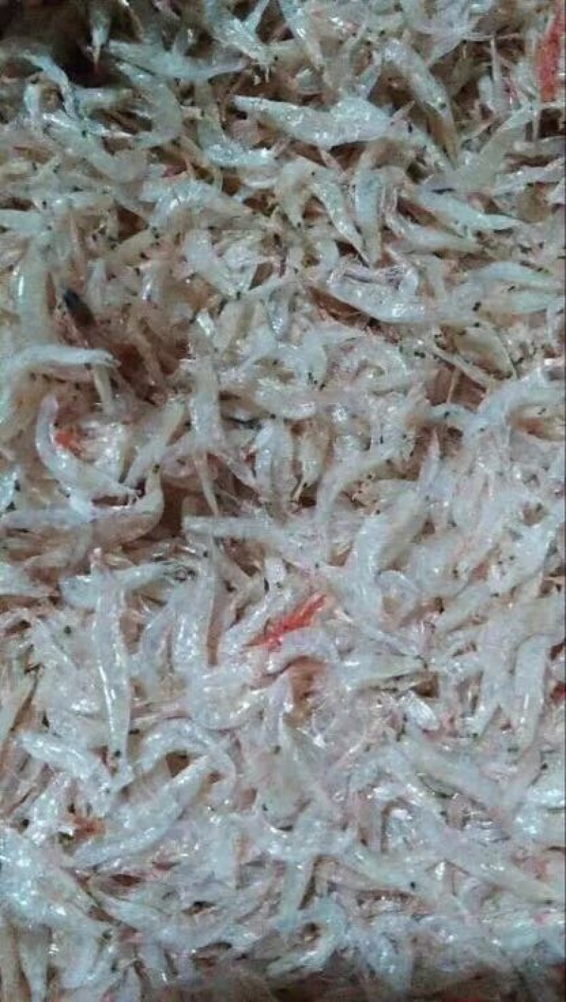 虾皮二级