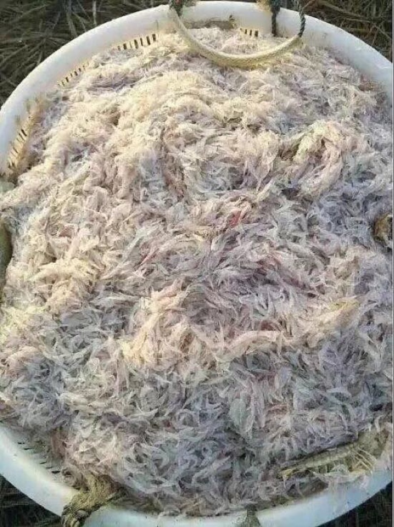 虾皮二级