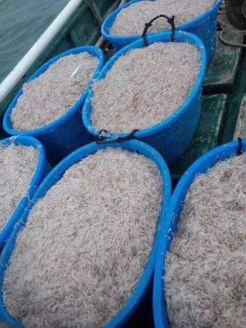 虾皮二级
