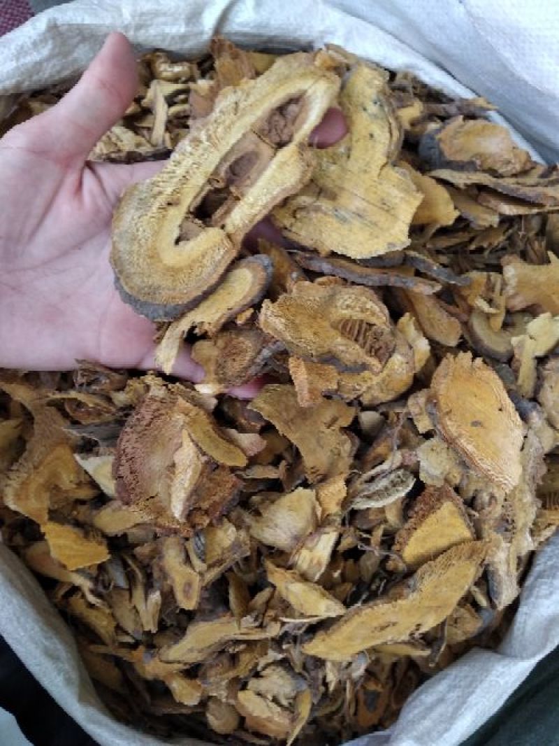 虎杖足干