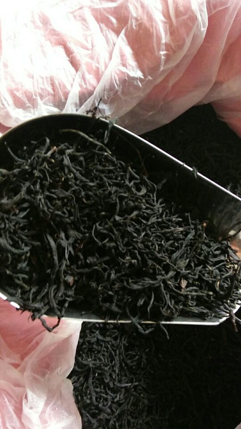 金秀大瑶山野生红，茶野生古树茶茶树都是百年历史。