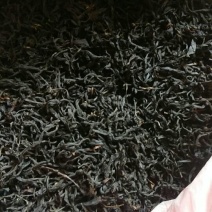 金秀大瑶山野生红，茶野生古树茶茶树都是百年历史。
