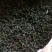 金秀大瑶山野生红，茶野生古树茶茶树都是百年历史。
