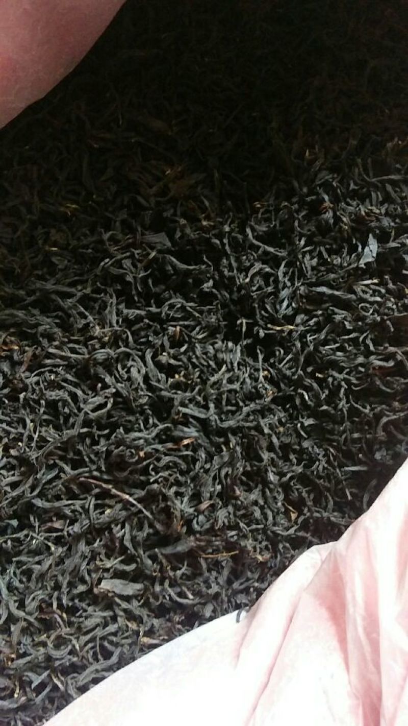 金秀大瑶山野生红，茶野生古树茶茶树都是百年历史。