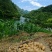 恩施富硒小土豆