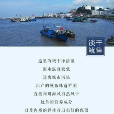 深海捕捞淡晒鱿鱼干！