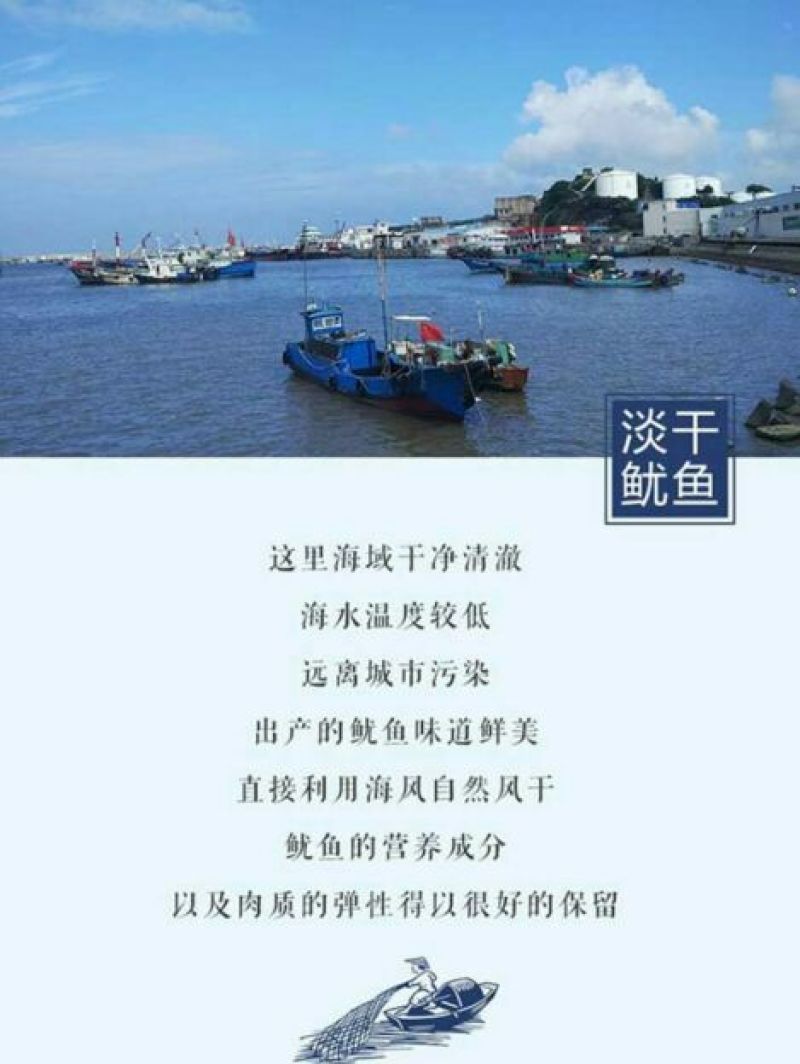深海捕捞淡晒鱿鱼干！
