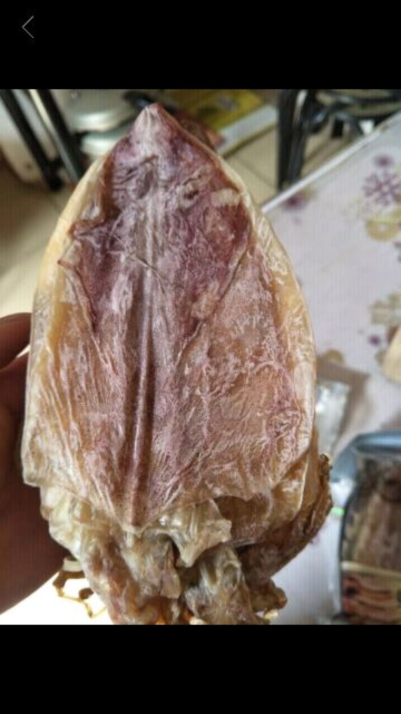 深海捕捞淡晒鱿鱼干！
