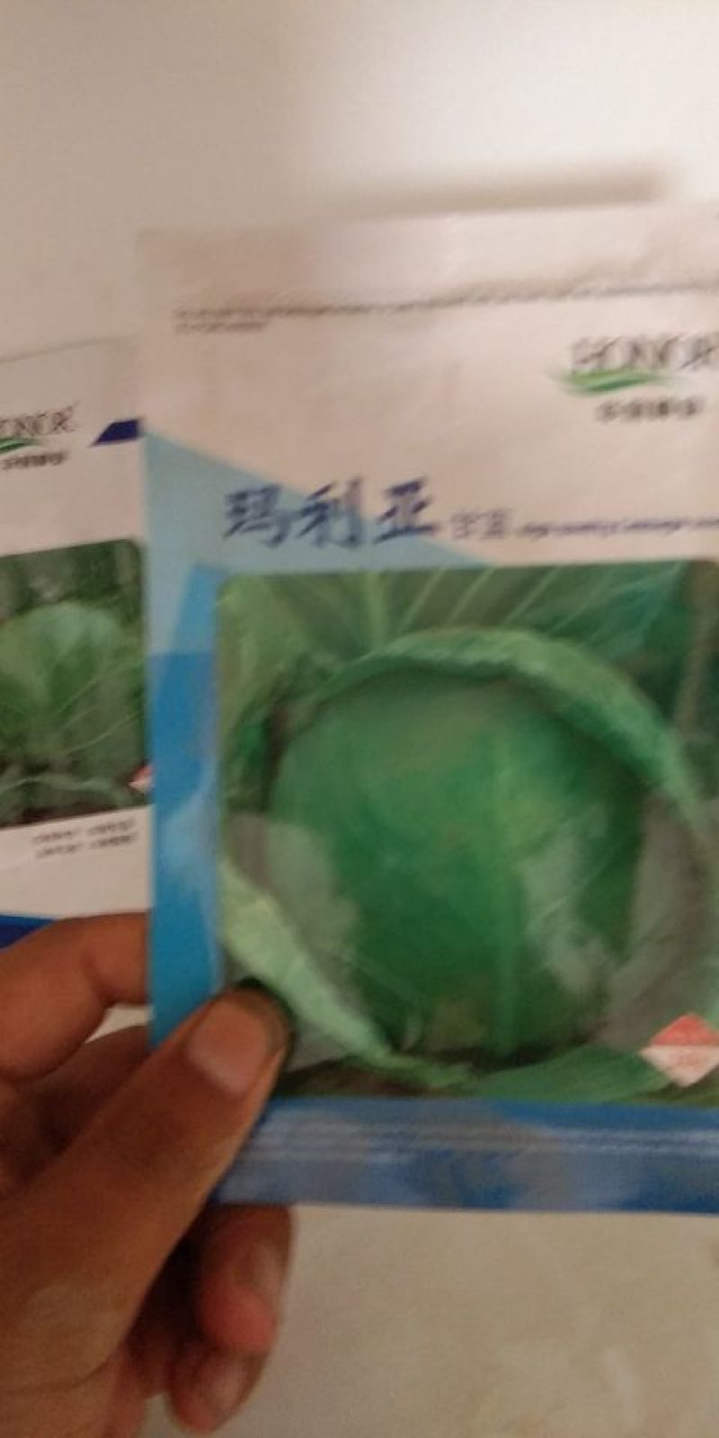 甘蓝种子质量很好，价格合理，公司经营，常年供应