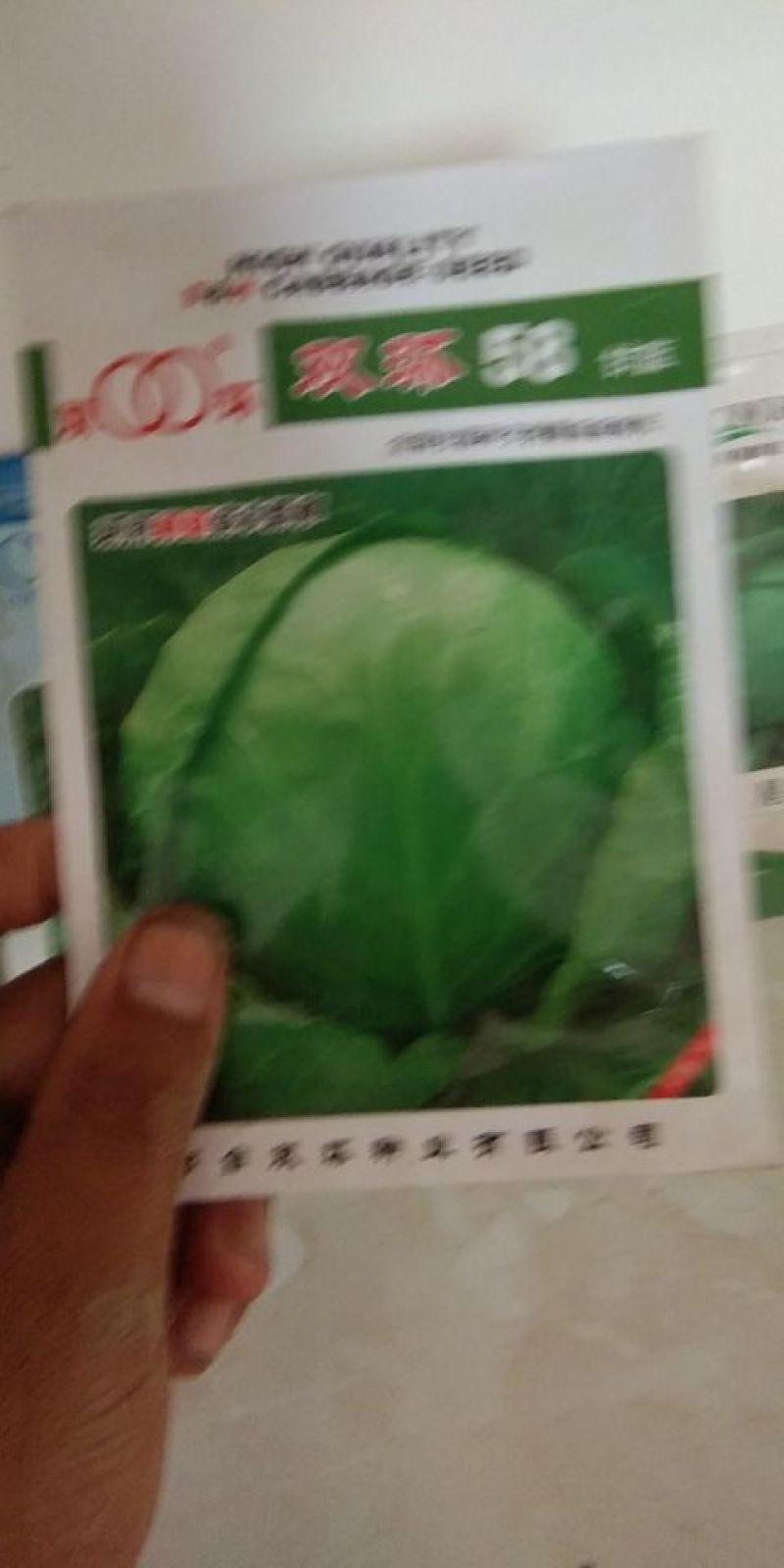 甘蓝种子质量很好，价格合理，公司经营，常年供应